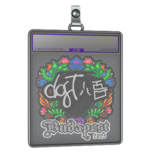 Sticker Slab | dgt (Embroidered) | Budapest 2025