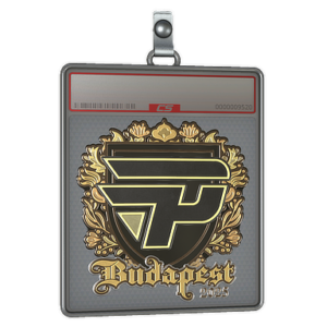 Sticker Slab | paiN Gaming (Gold) | Budapest 2025