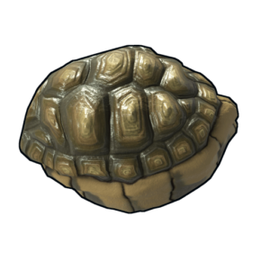 Tortoise Rock