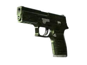 P250 | Iron Clad (Minimal Wear)
